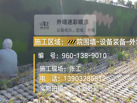 九龙坡外墙迷彩漆材料价约 45-60 元 /k