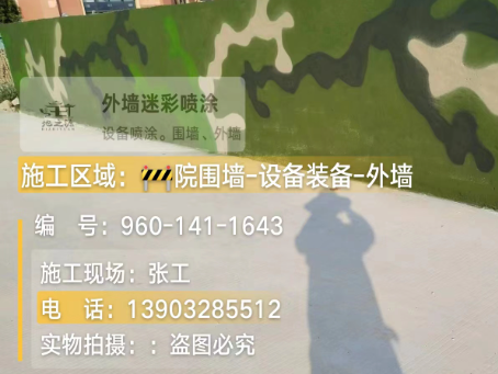 九龙坡 迷彩漆喷涂价格（按平方米计费）