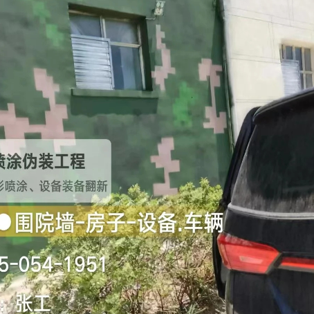 九龙坡数码迷彩漆施工